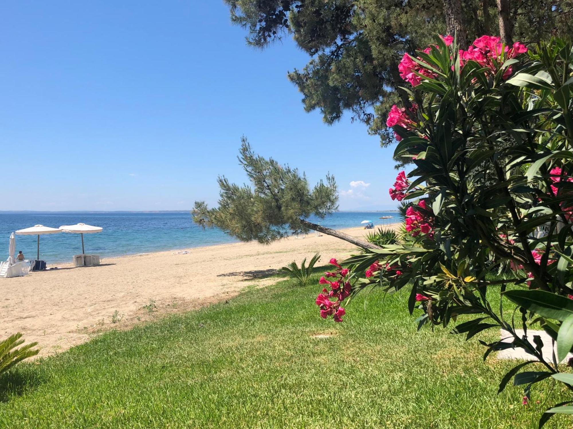 Falena Luxury Rooms Kalyves Polygyrou Dış mekan fotoğraf